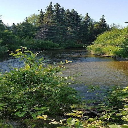 Moose Meadows- Near The Airport, Centrally Located Anchorage Exteriör bild