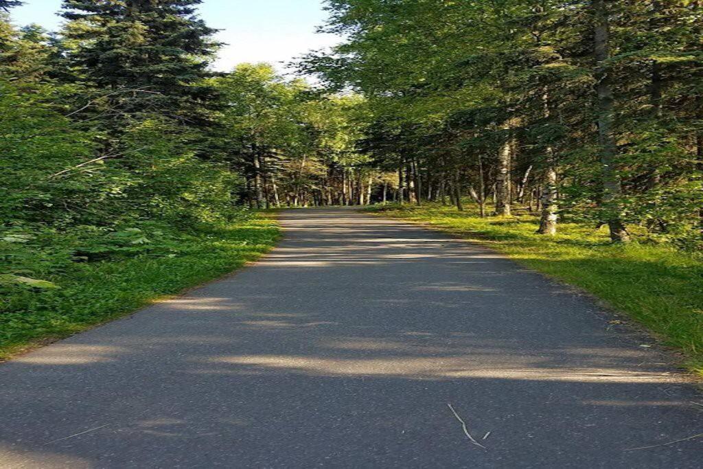 Moose Meadows- Near The Airport, Centrally Located Anchorage Exteriör bild