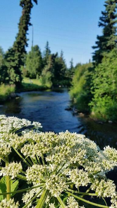 Moose Meadows- Near The Airport, Centrally Located Anchorage Exteriör bild
