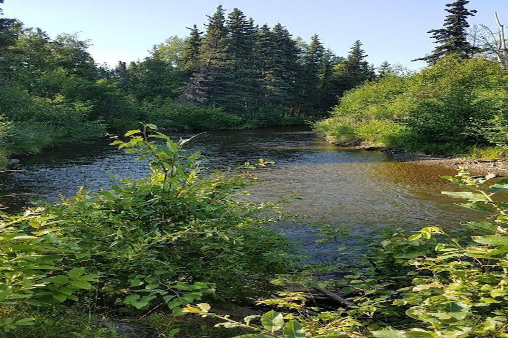Moose Meadows- Near The Airport, Centrally Located Anchorage Exteriör bild